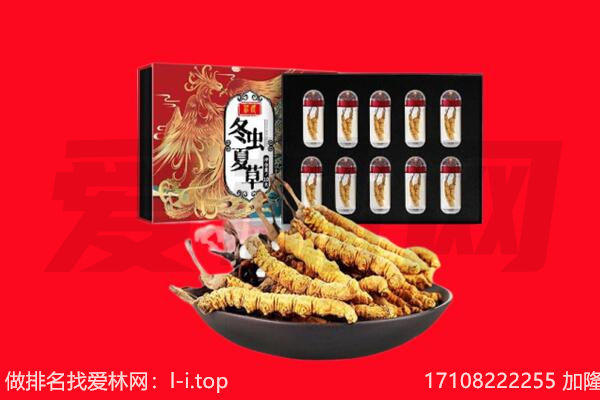 桑日县回收虫草.jpg
